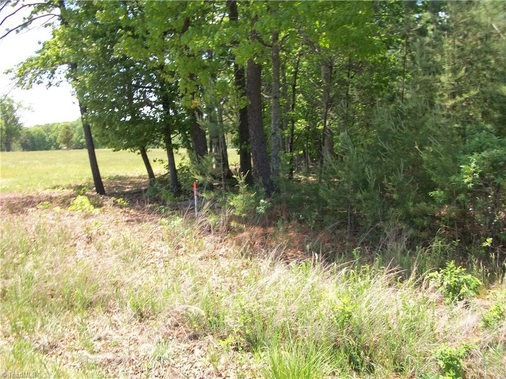 Eden, NC Hunting Land