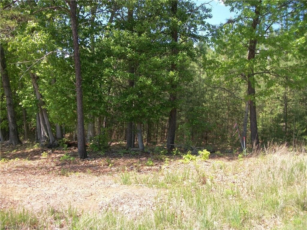 Picture 4