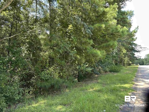 Residential Lot in Eight Mile
