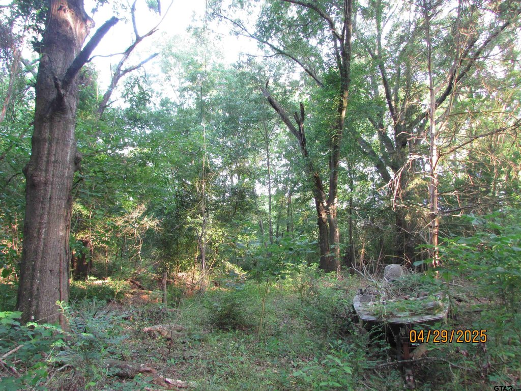 Picture 6