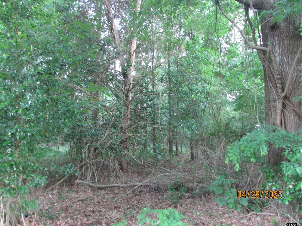 Picture 4