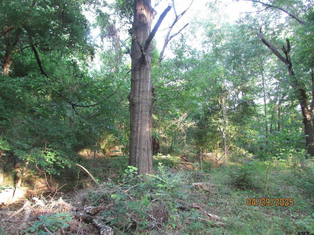 Picture 5