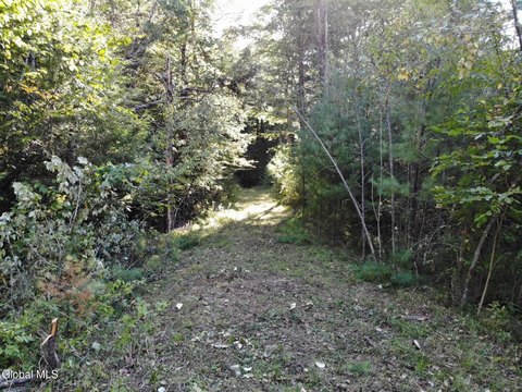 LAND - Bolton Landing, NY