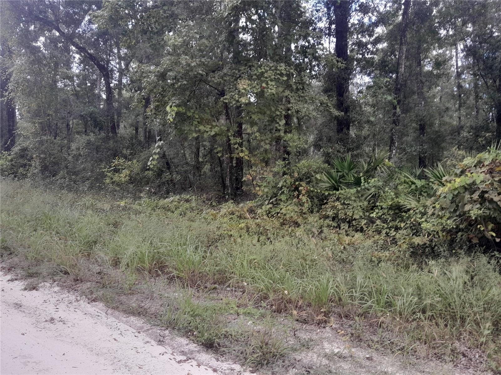 5.09 Acres Wooded Land