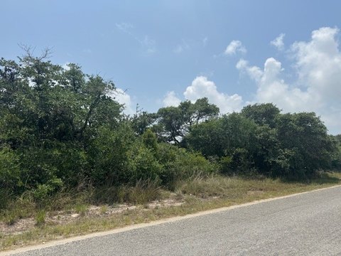 Ingleside Land with Mature Trees