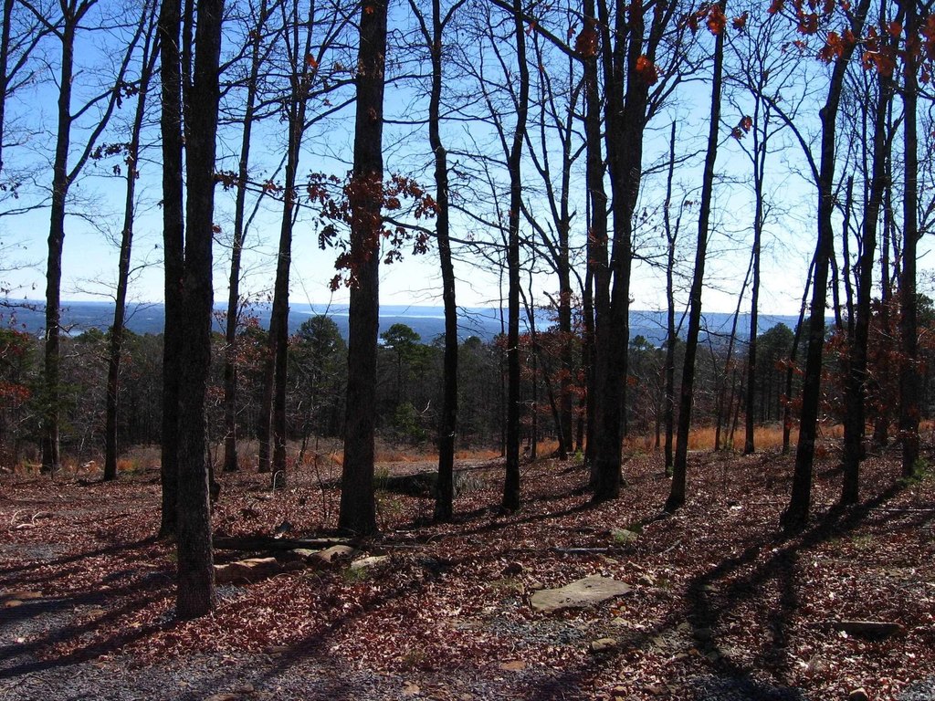 Picture 7