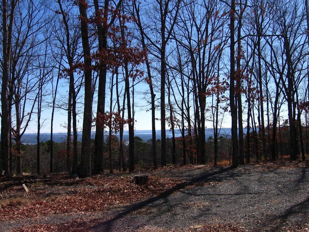 Picture 5