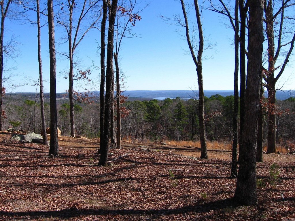 Picture 8