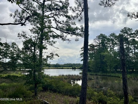 Land, Oriental, NC