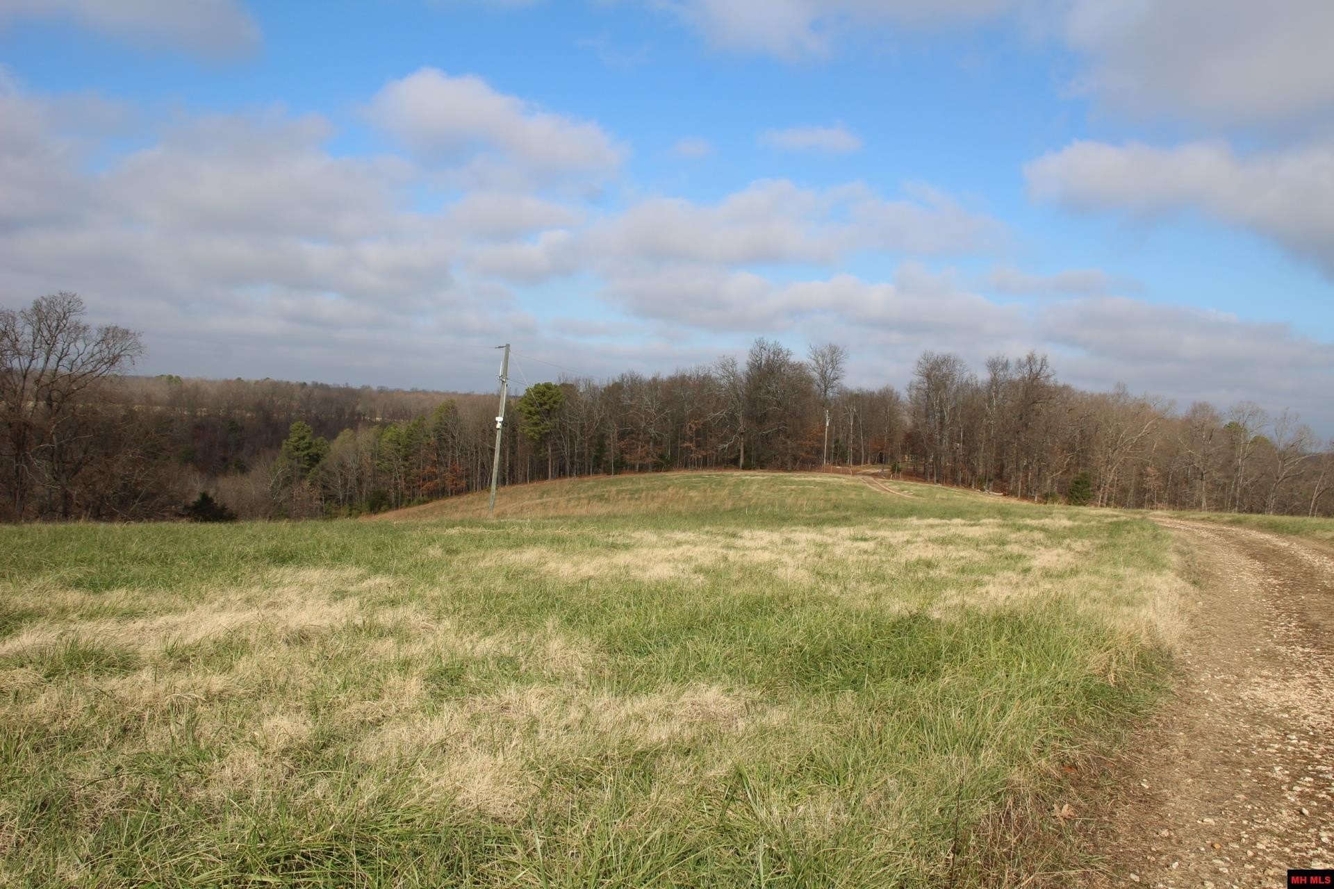 58.26 Acres Near Bull Shoals
