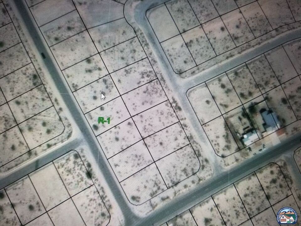 Picture 6