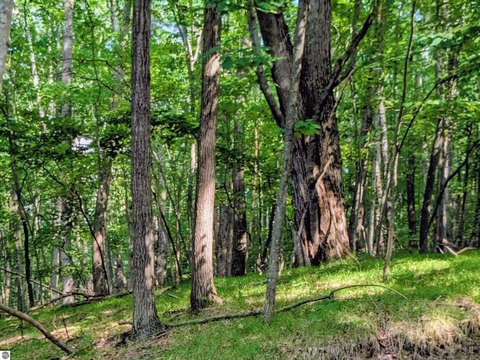 Wooded Corner Lot in Canadian Lakes