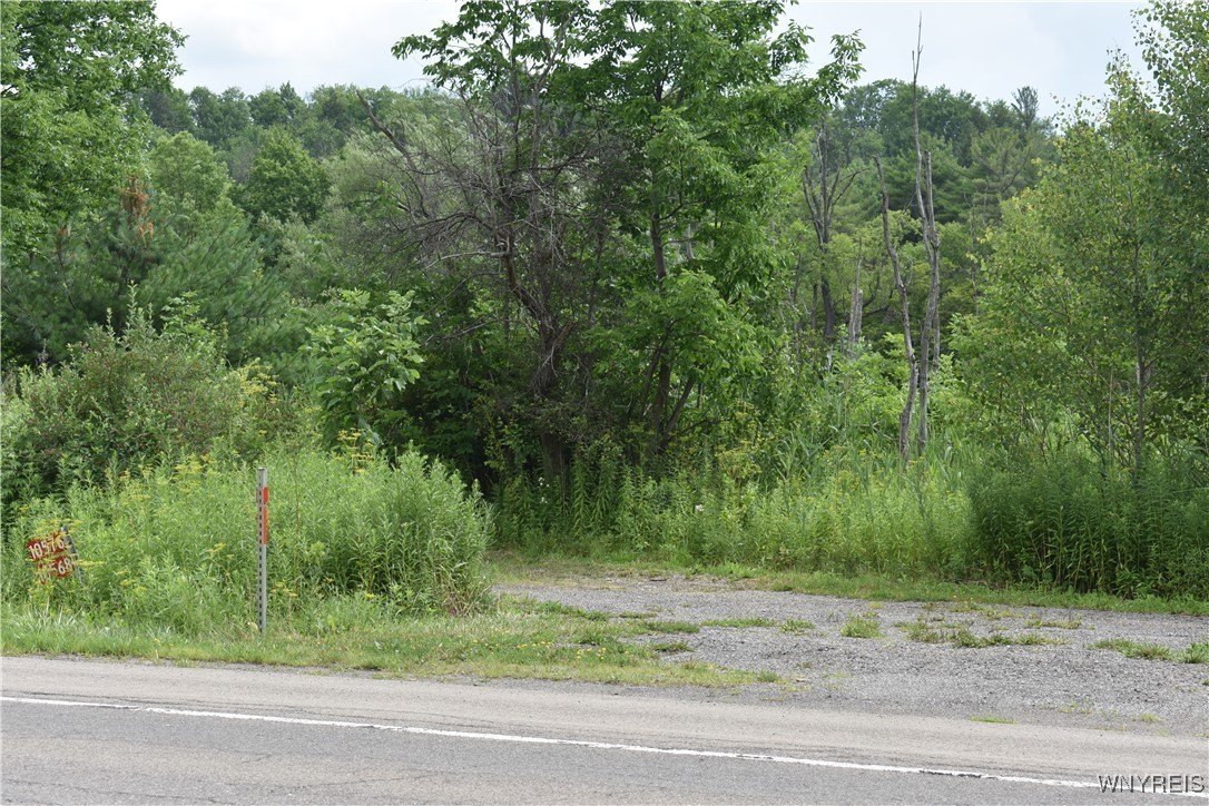 Chaffee, NY Fishing Stream Access