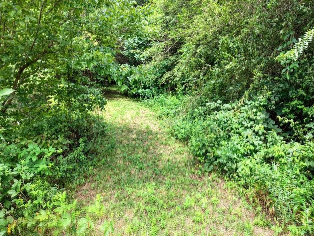 Picture 14