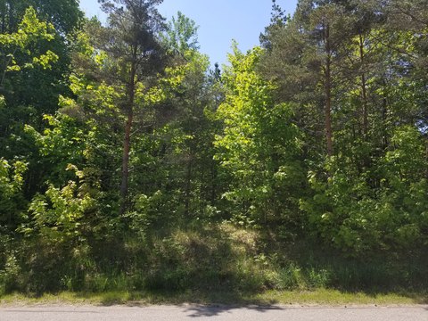 LAND - HARBOR SPRINGS, MI