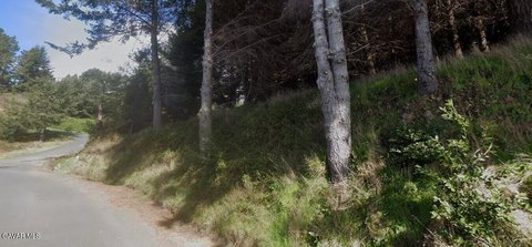 LAND - Whitethorn, CA