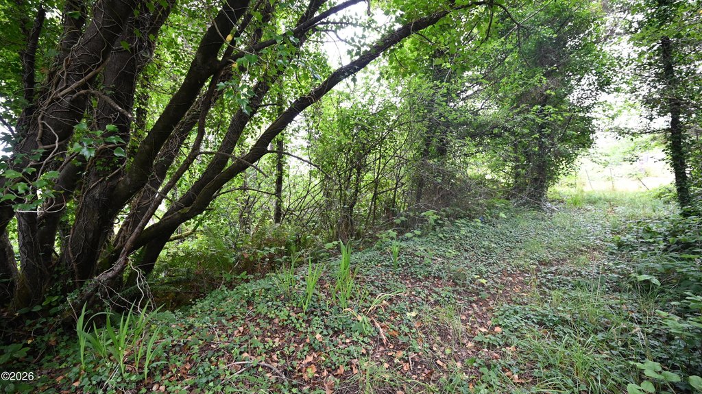 Picture 3