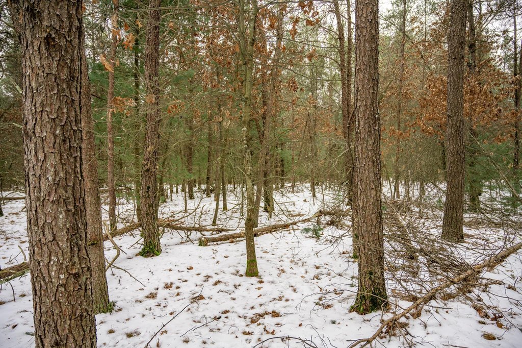 Picture 46