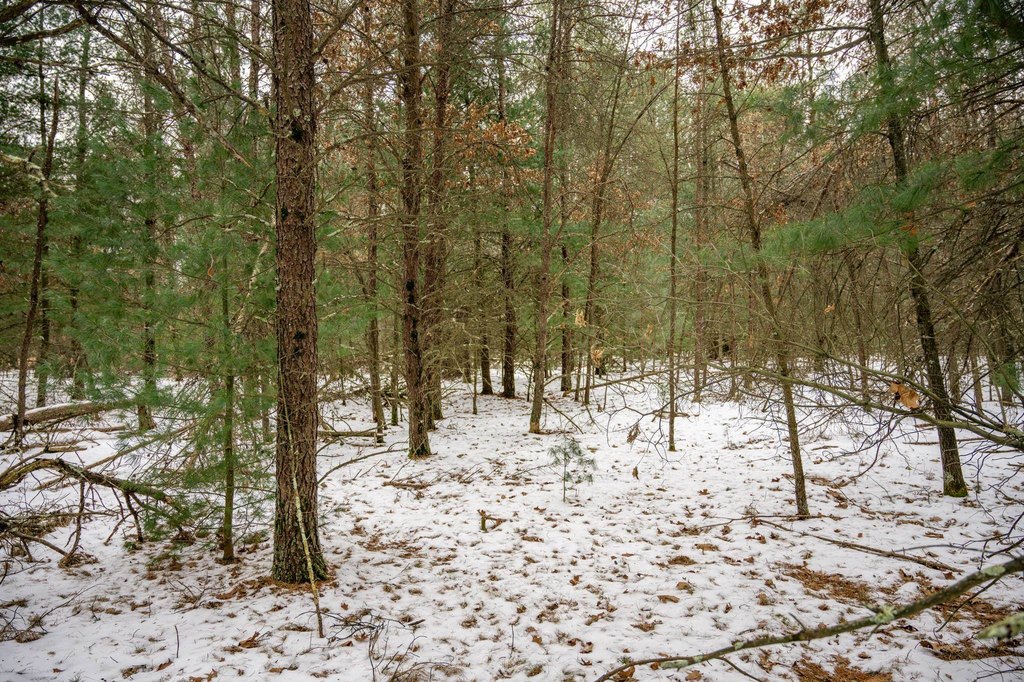 Picture 40