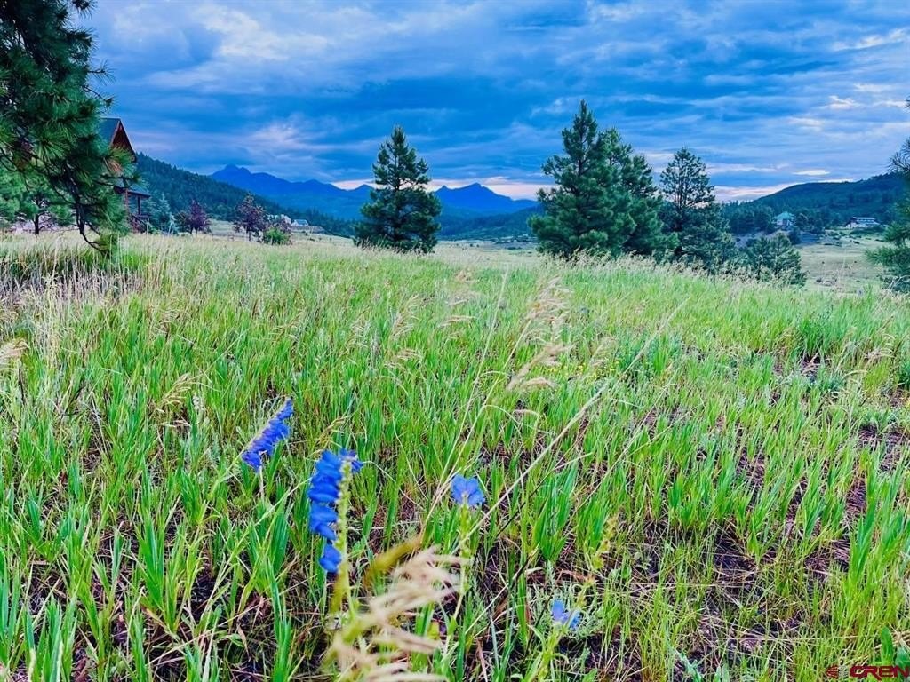 Land For Sale, Pagosa Springs