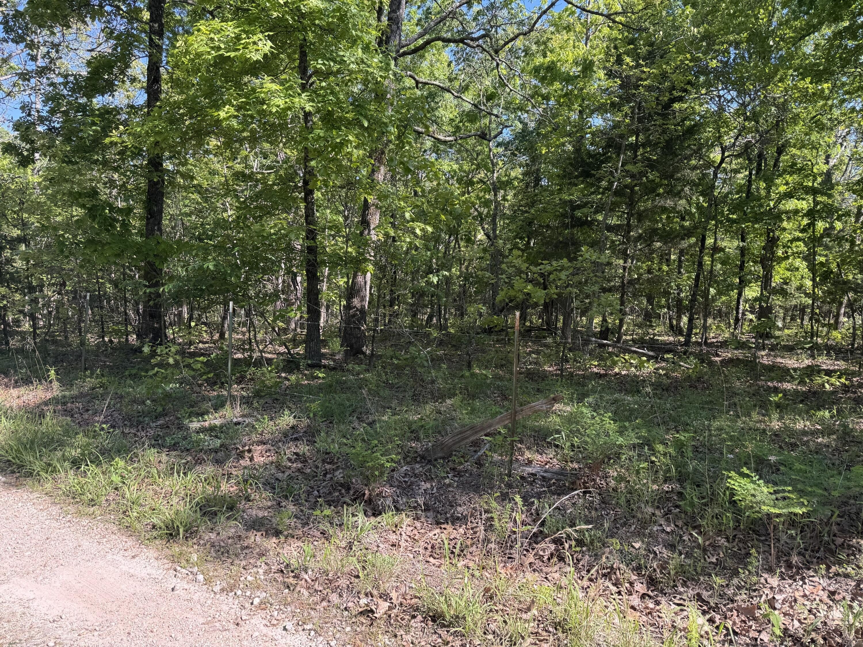 Secluded Wooded Land in Niangua