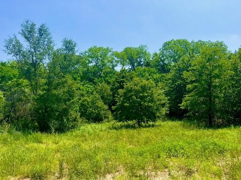 Deed-Restricted Equestrian Land Lot