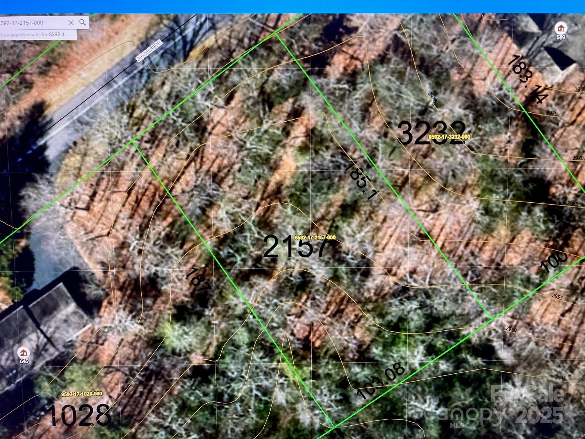 Wooded Lot in Brevard, NC