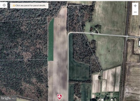 Prime Hunting Land For Sale