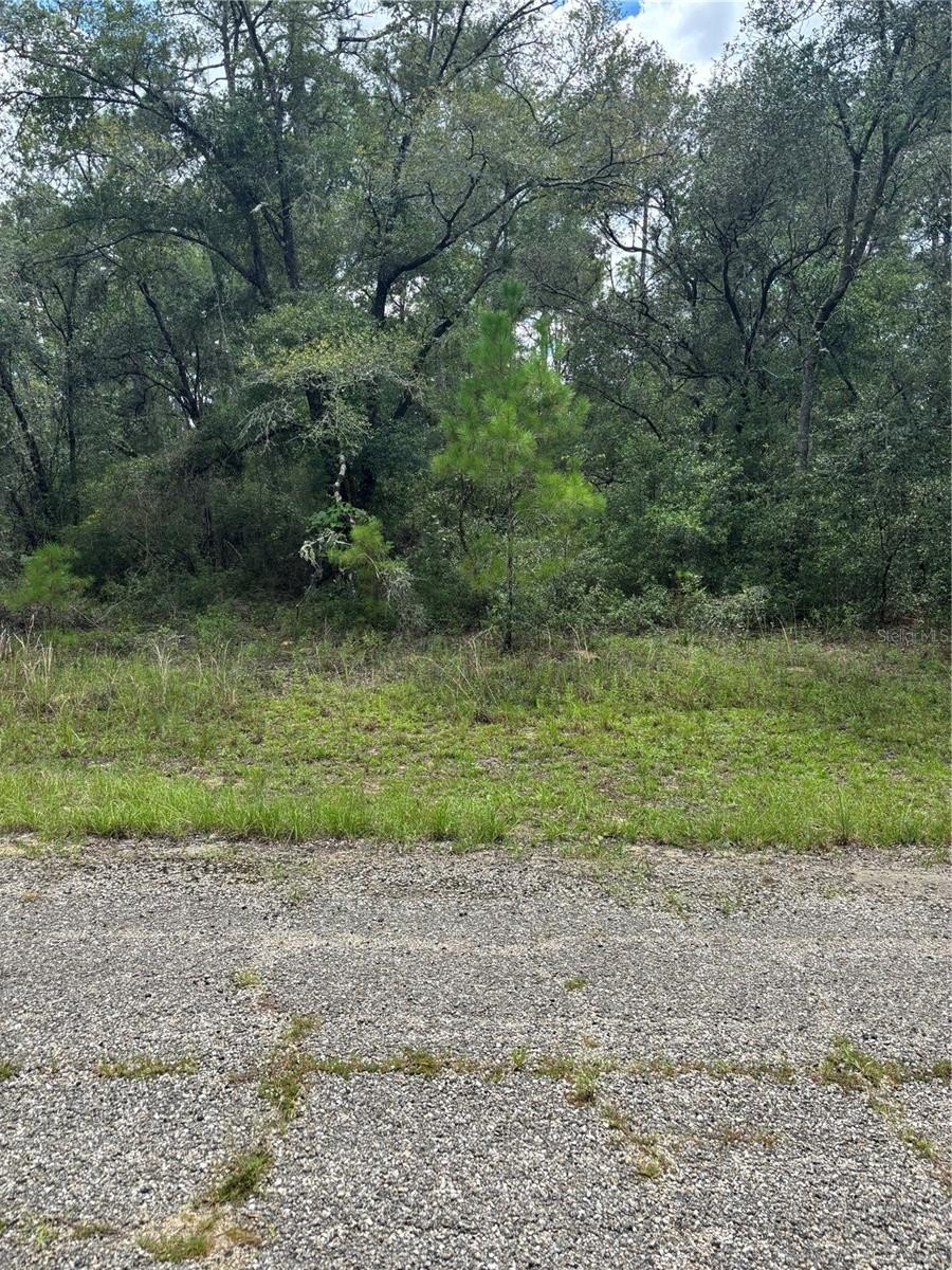 Citrus Springs Shovel-Ready Land