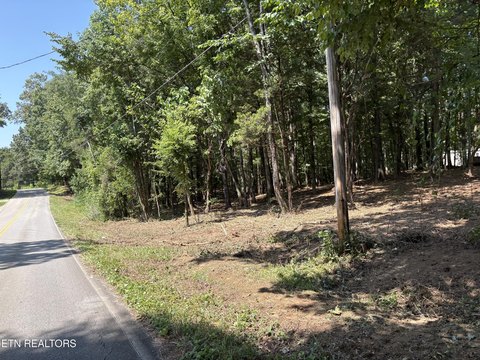 Lenoir City Wooded Land Tract