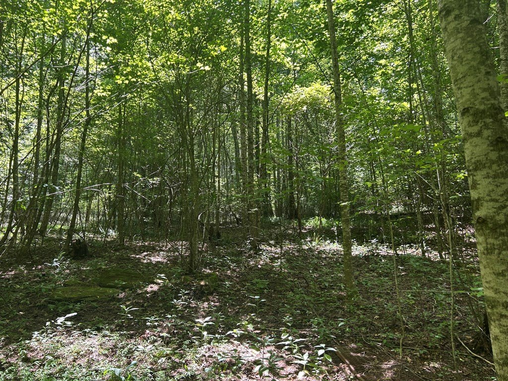Picture 4