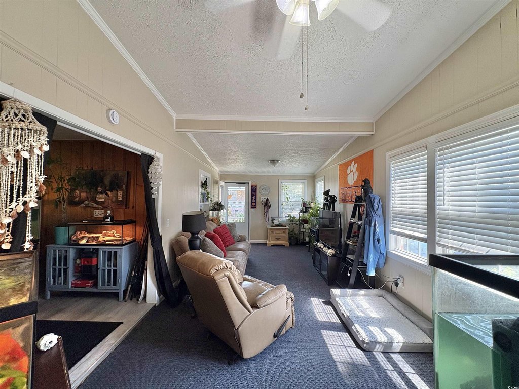 Picture 22