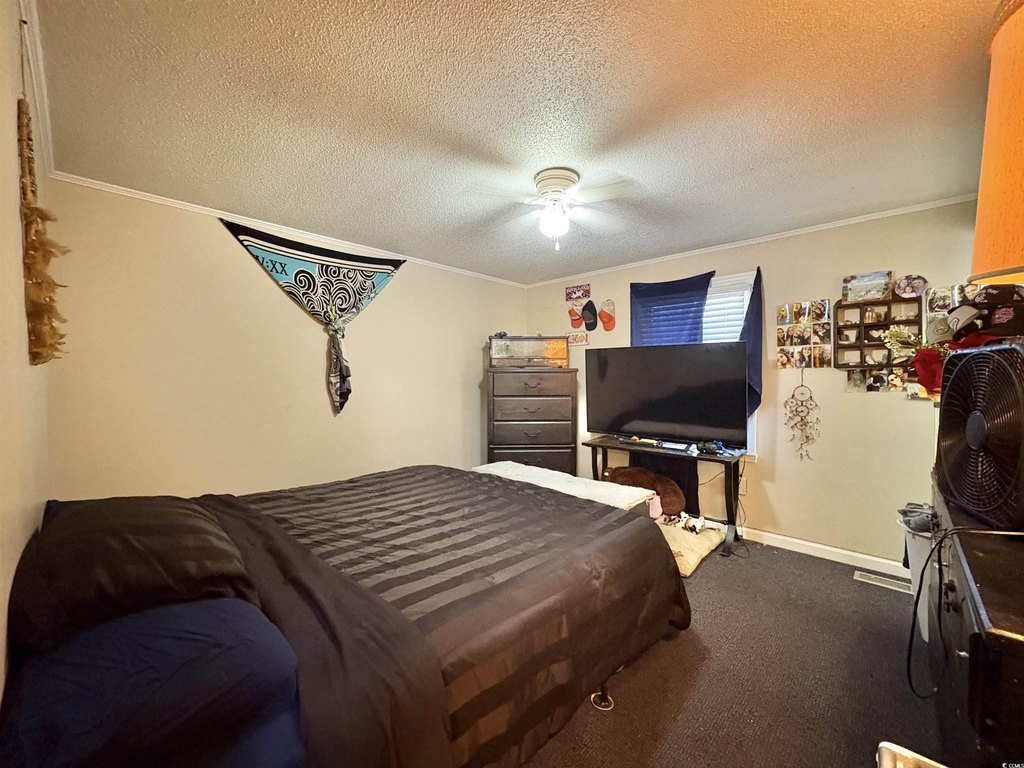 Picture 26