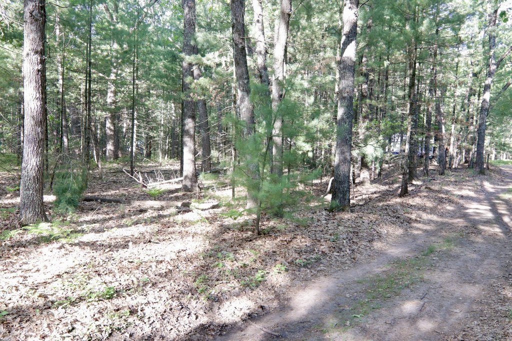 Picture 3