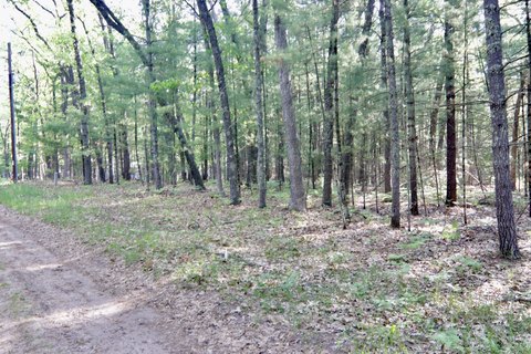 LAND - Baldwin, MI