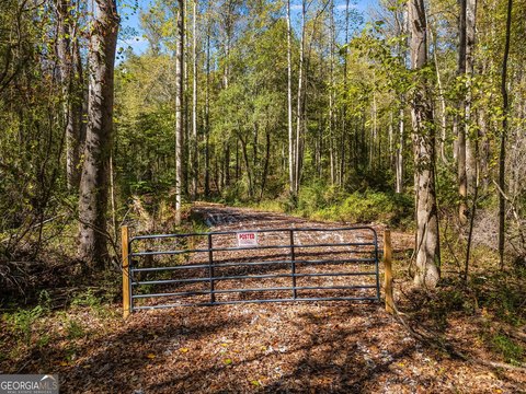 Land in Carrollton Area