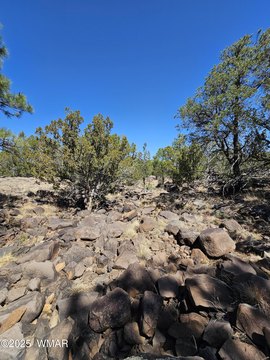 5-Acre Parcel in Vernon, AZ