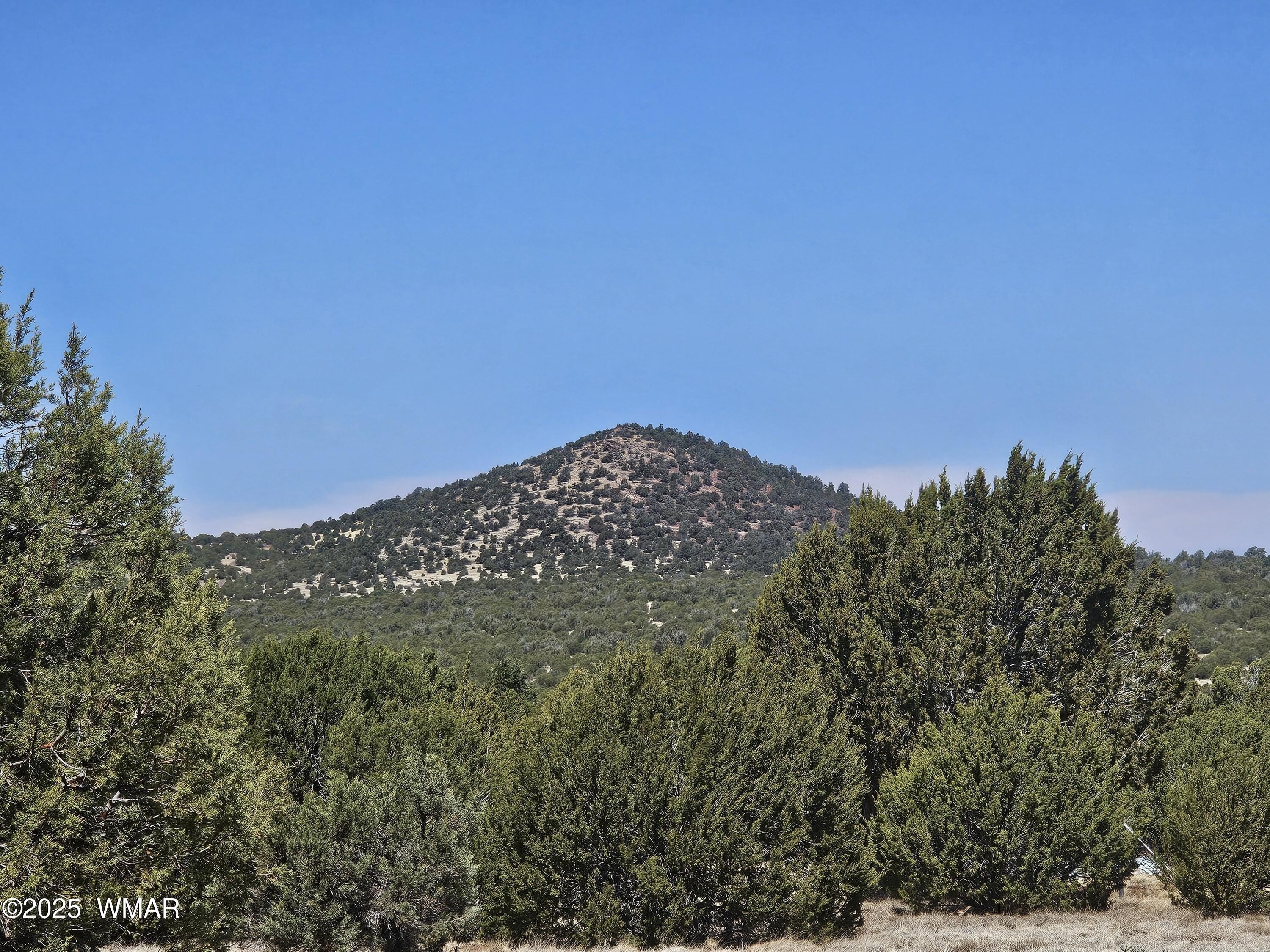 5-Acre Parcel in Vernon, AZ