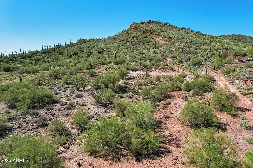 Picture 21