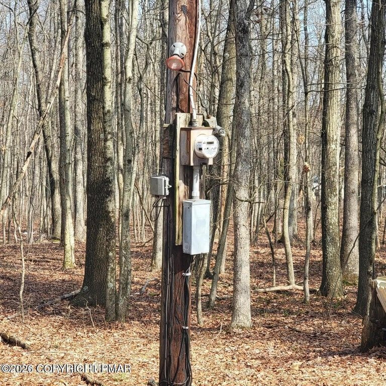 Picture 5