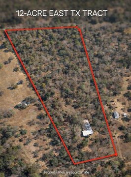 12 Acres in East Texas