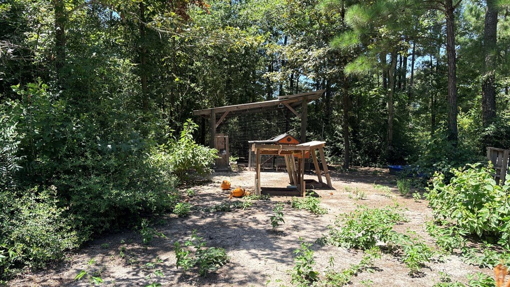 Picture 16