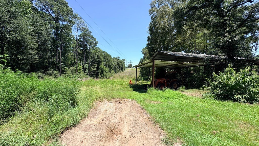 Picture 29
