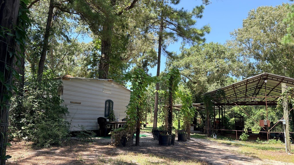 Picture 20