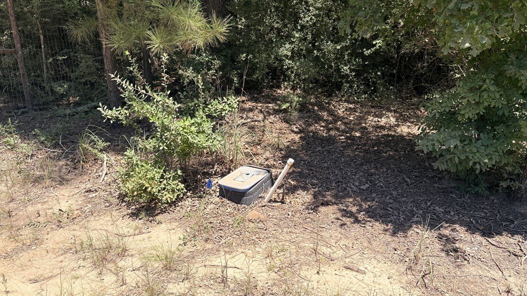 Picture 3