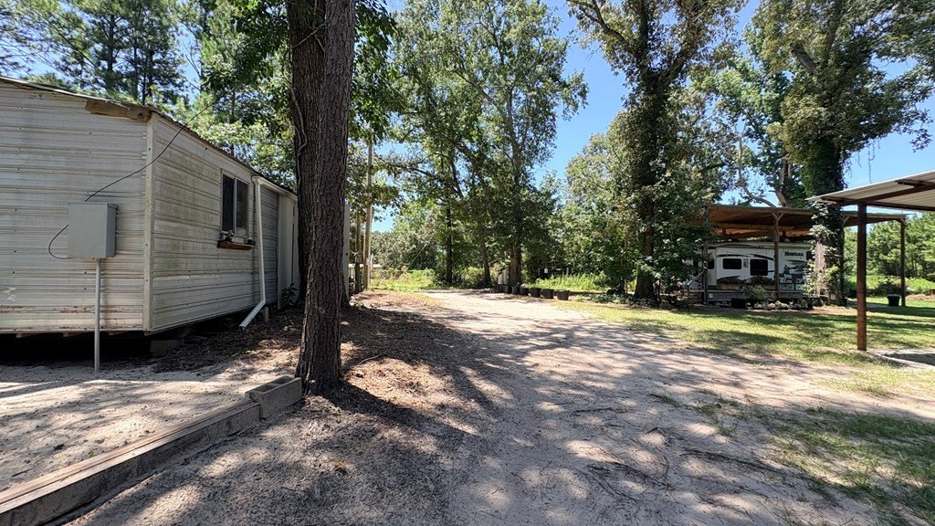 Picture 21