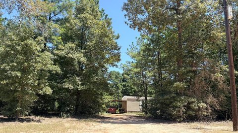 LAND - Chester, TX