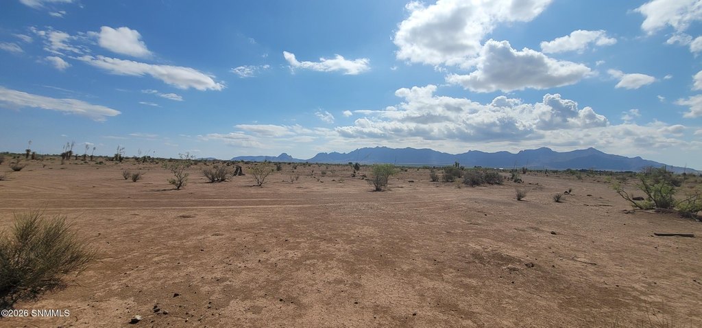 Picture 6