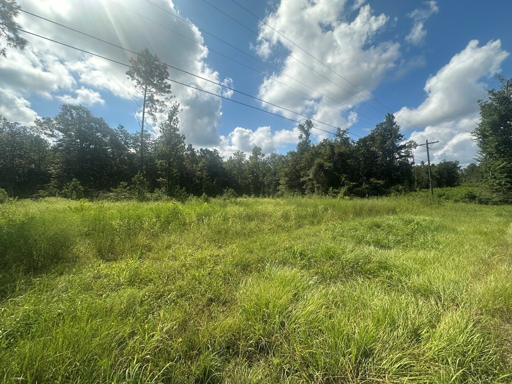 Picture 6
