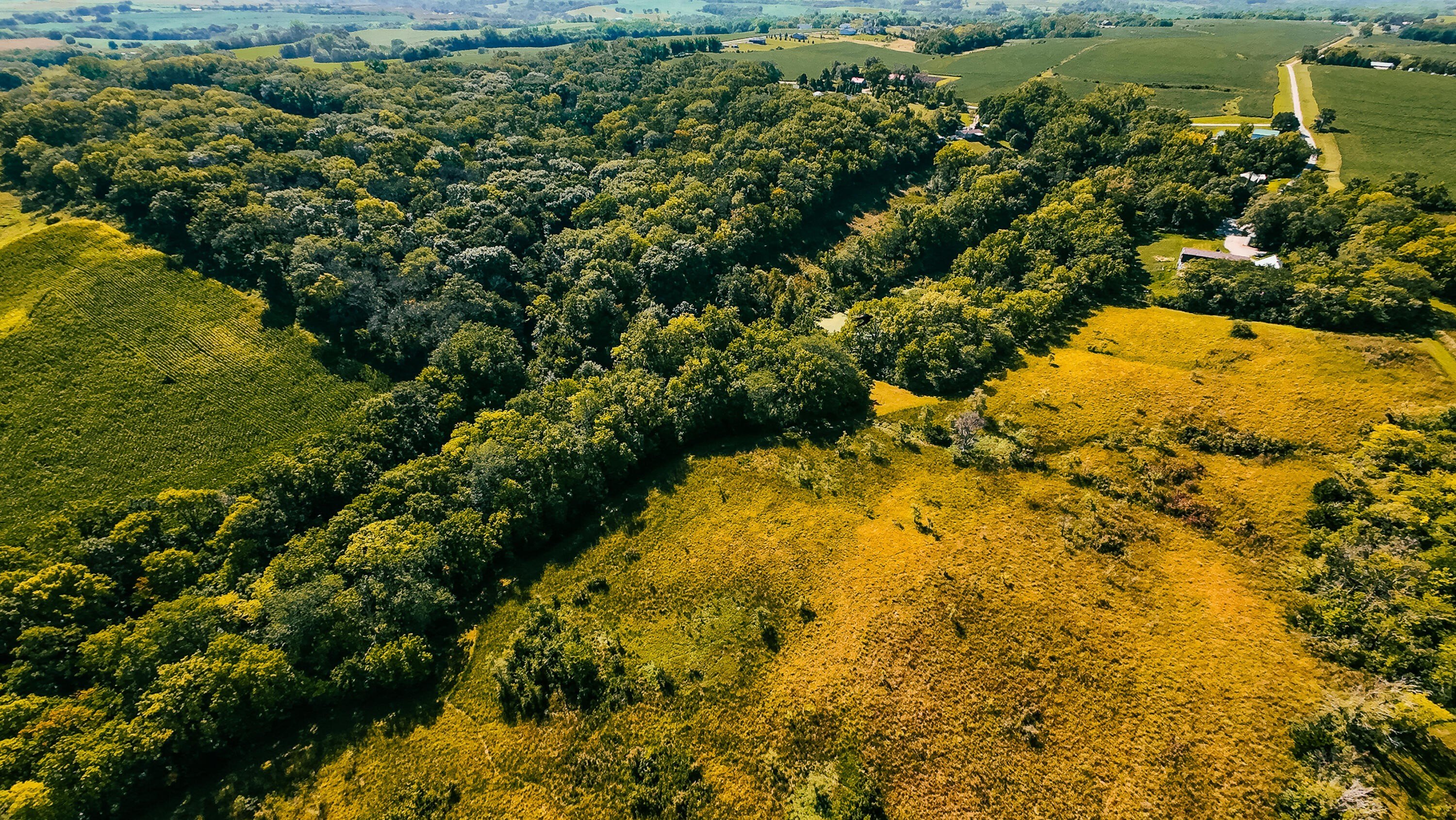 Wooded Land Near Glenwood, Iowa